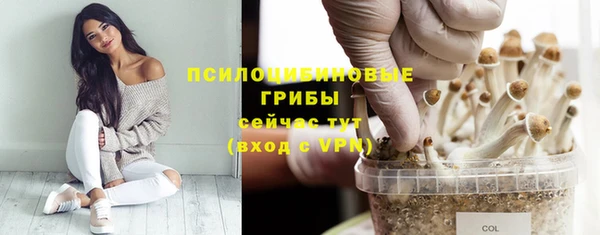 стаф Навашино