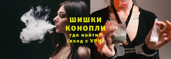 сатива Надым