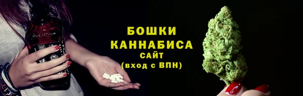 сатива Надым