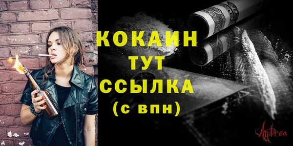 сатива Надым