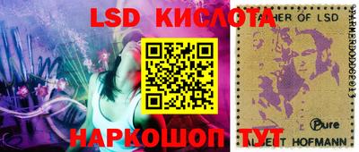 молекула духа Кандалакша