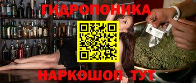 молекула духа Кандалакша