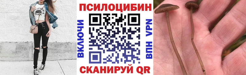 где можно купить наркотик  мега как войти  Галлюциногенные грибы Magic Shrooms  Крымск 
