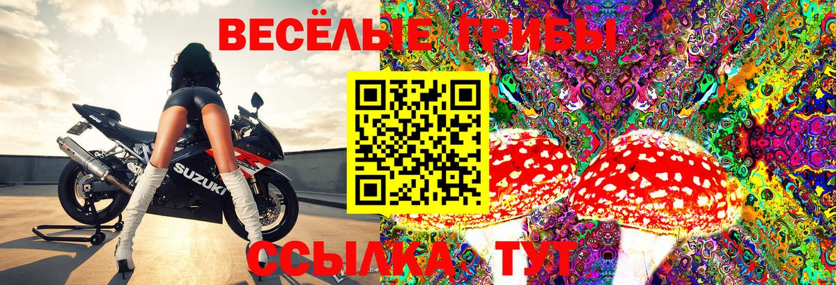 APVP Крымск