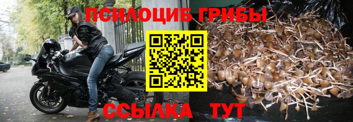 Псилоцибиновые грибы ЛСД  Вход с VPN  Крымск 
